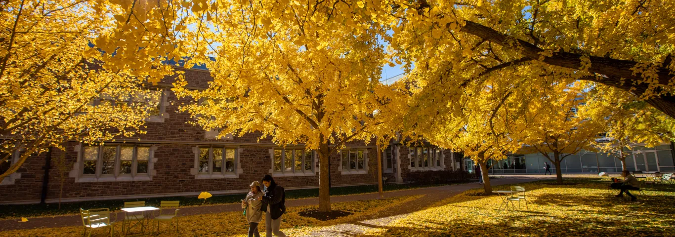 A couple of students walking on campus with yellow leaves of Ginkgo Biloba surrounding them.