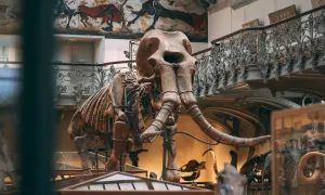""