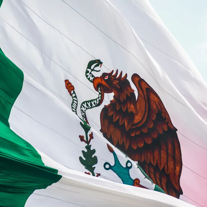 Mexican Flag